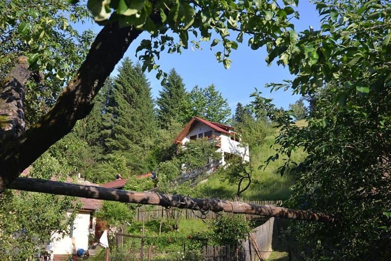 Cabana Vanatorilor Poiana Mărului Eksteriør billede